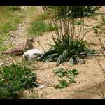 Sedím a vyčkávám....