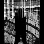 Reflexe neoblomných