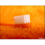 Taková oranžová blbost ...