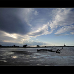 Dunaj před bouřku ...