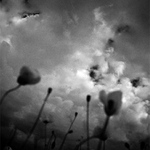 smútkom spité maky
