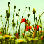 poďme namlčať sa seba...