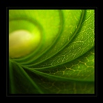 ...a na konci je svetlo...