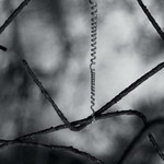 Devítiocasé pochybení zjitra