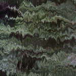 V masce ptačího krále