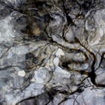 Kult Hada I - Co zpíval Boa měsíci.