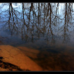 možná přijde i vodník