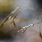 a tak si maluje a ...