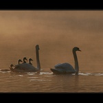 Mládeži nastupovat!