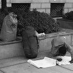 Modny navrhar, Raleigh NC