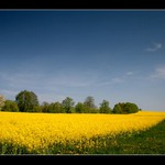 Přistávací plocha