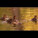 Jeste chvili posedme