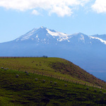 RIORIAKA 2 - OVCE JAKO MRAVENCI