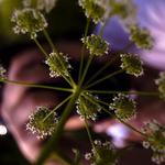 Fotíš fotím fotíme