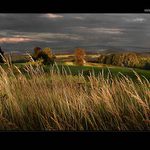 THE WORLD OF PHOTOGRAPHIC