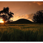 Řípo(f)ka zapadáko(f)ka