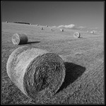 Do ztracena II. aneb myšlenky po ránu