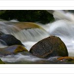 *** Vydrýskova Vydra ***