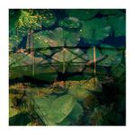 *** Variace na Moneta :-) ***