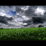 ***PŘED BOUŘKOU***