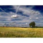 ***LETNÍ KLASIKA***