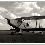 Bücker - Jungmann