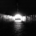 - Cesta do neznáma  -