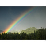 ...colours of rainbow...