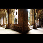 Rosa Coeli - křížová chodba