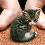 ten svět je hrozně velkej