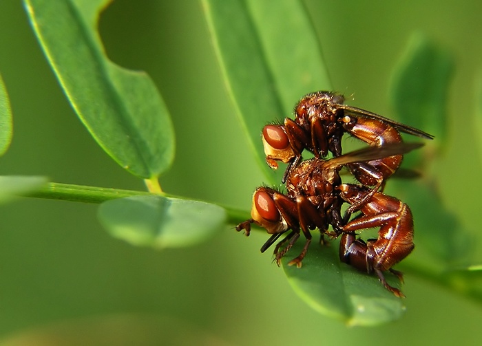 Tak už se mi neschovávej