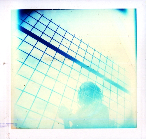 instantní portréty :: rasta