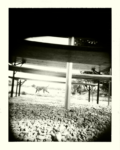 Toho dne byl Puňťa poněkuď neklidný