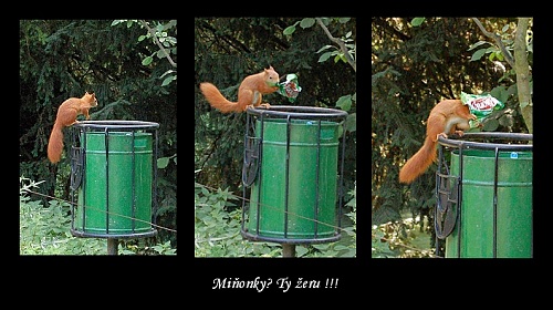 Miňonky? Ty žeru !!!