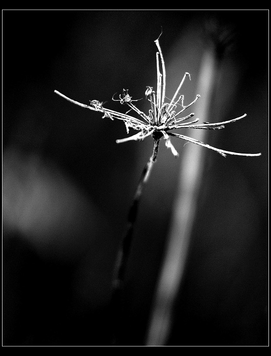 ...parte...
