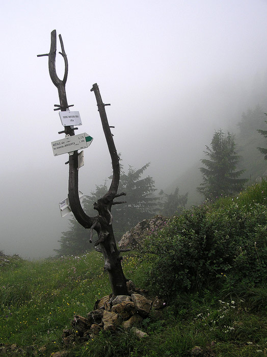 Rano na Severnim rakytovskem sedle