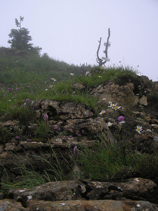 Rano na severnim rakytovskem sedle 2