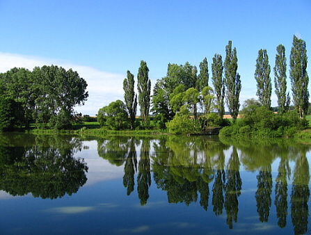 Vsišské zrcadlení