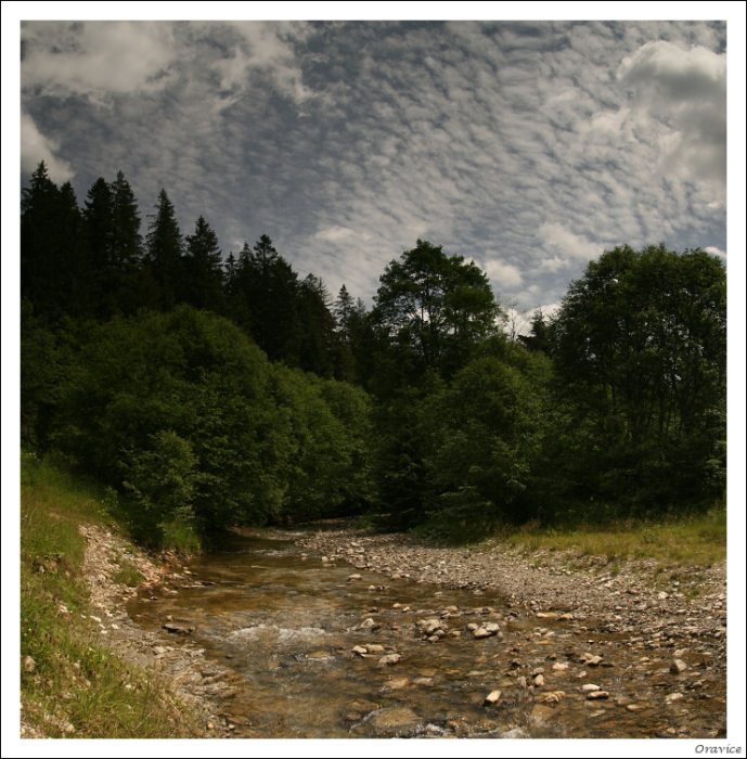 Oravice