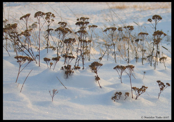 Chladná, ale krásná