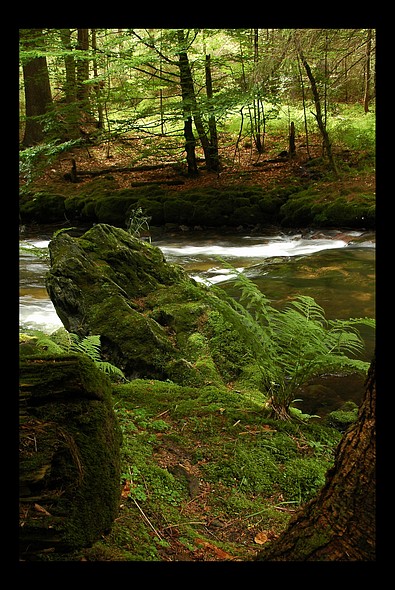 Potok III