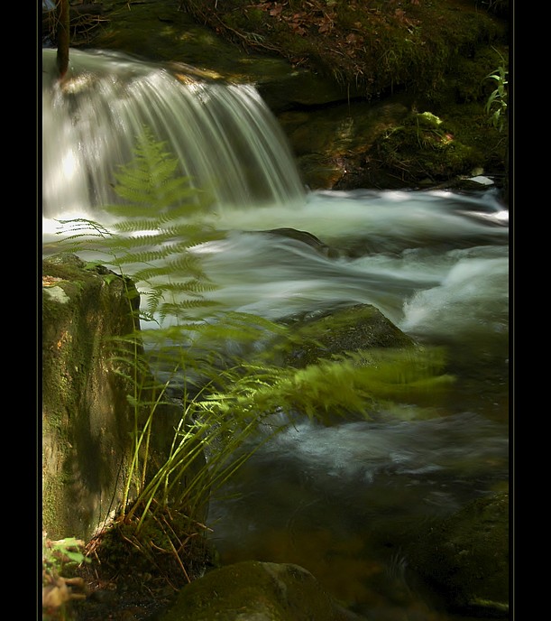 ****