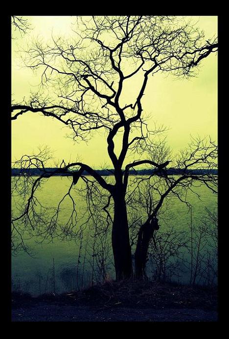 Suicide Landscape