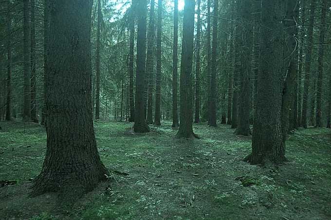 BLÉÉR VYČ : prežil som