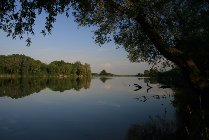 vodenka
