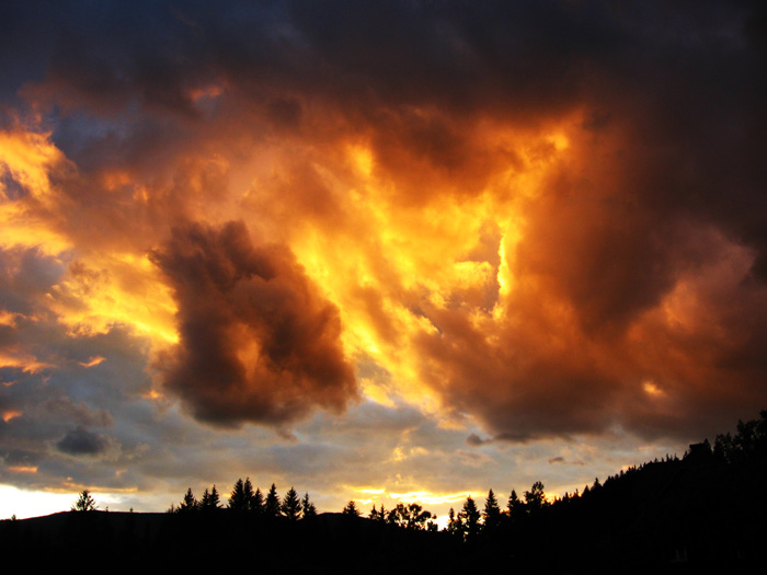 Armagedon
