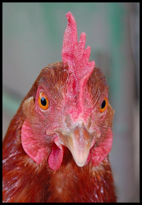 Cesta za slávou... :-)