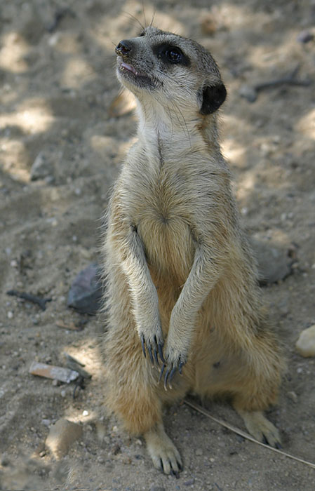 Hej,lidi!Proč nám to děláte?