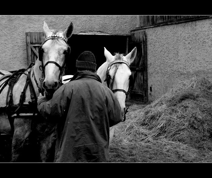 každodenní radosti i strasti...