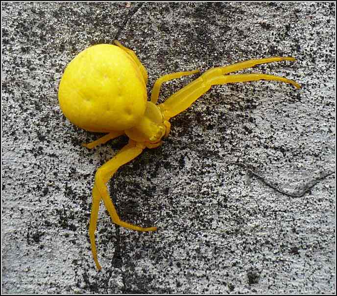 Lezlo to kolem tak jsem to trefil